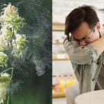 Healthy population termed key to prosperity