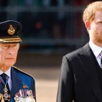 8 Impressive Benefits of Poppy Seeds Nutrition, Usage and More