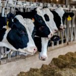 Tori Spelling worried divorce would hurt Dean McDermott's ego