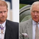Prince Harry aims for new 'title' after cutting ties with UK, royal family