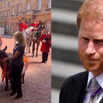 Palestinian writer jailed in Israel wins top Arabic book prize