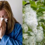 They loved my clothes: Saba Faisal on crafting designs for Maryam, Kulsoom Nawaz