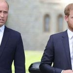 Pakistan's first Miss Universe, Erica Robin, dazzles in gold at historic Cannes debut