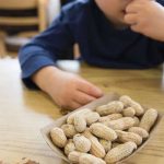 World’s most expensive feather sold in New Zealand auction for $28,417