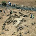 5 celebrities who owned Vogue World 2024