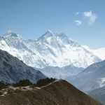 Mubashir Mehmood calls Sajal Ali ‘the best thing’ about ‘Zard Patton Ka Bunn‘