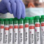 Madonna sued for exposing fans to pornography on stage