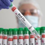 Daily multivitamin use may not increase longevity