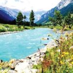 How this summer is breathing new life into the age-old floral choker