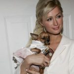 Sir Elton John ranks his songs, reveals the track he absolutely hates