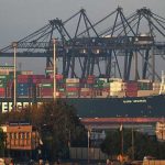 Knits and flicks' craze sweeps over Vienna