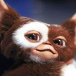 Acid burn survivors walk the runway in Karachi