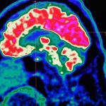 How to Batch Cook Healthy Meals for the Week