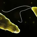 Victoria Beckham readies against Nicola Peltz even though â€˜she has financial power'