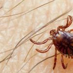 Alison Hammond swoons over sweet habit her boyfriend does every time