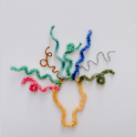 Fans shave head for screening of Emma Stone's film ‘Bugonia’