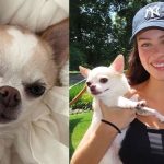 NELK Boy walks out of 'imPaulsive' podcast