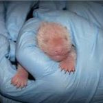 Nicholas Hoult gives production update about 'Superman' sequel