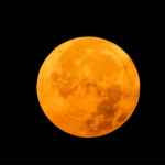 Donyelle Jones 'So You Think You Can Dance' star passes away