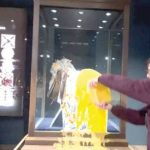 Adrien Brody argues human emotion is irreplaceable by AI